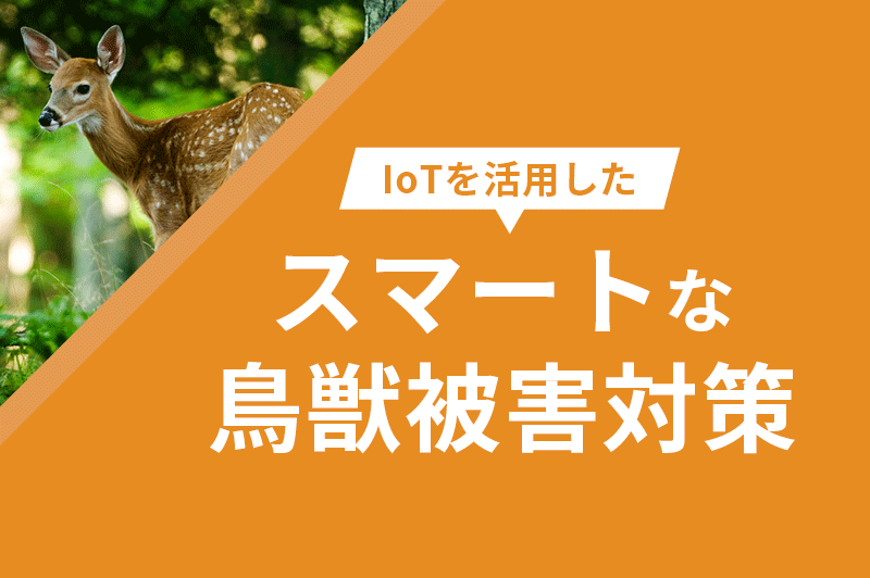 IoT　鳥獣被害対策